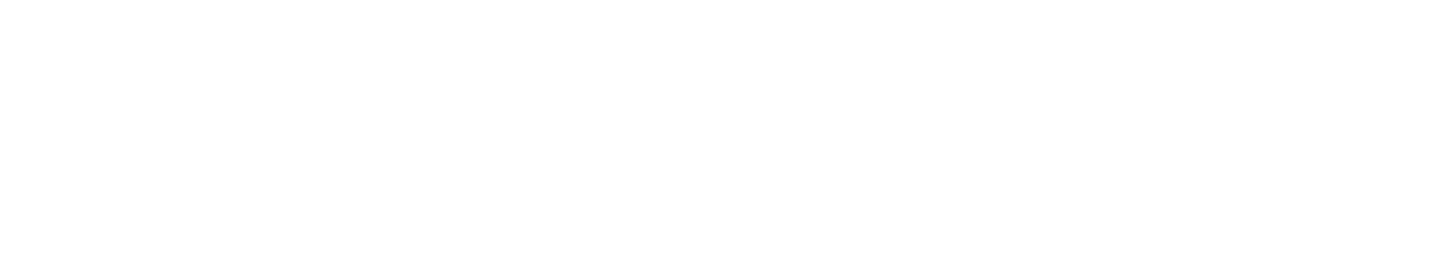 RoadGuard